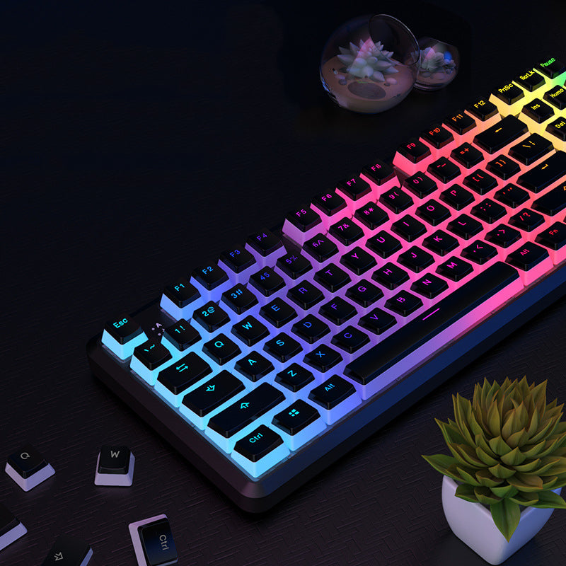 Translucent Pudding Keycaps – RGB Shine-Through Effect