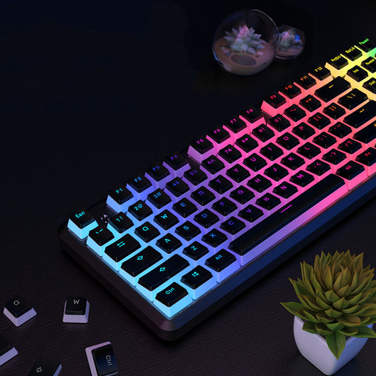Translucent Pudding Keycaps – RGB Shine-Through Effect